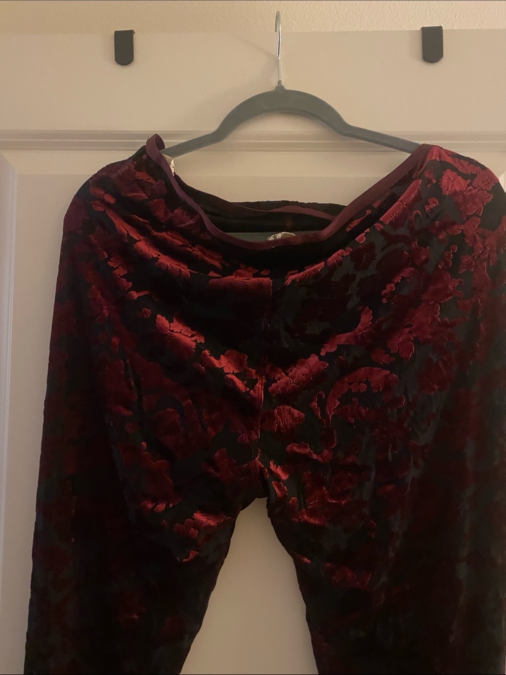 Free People Velvet Burnout Floral Pants in Burgundy and Black